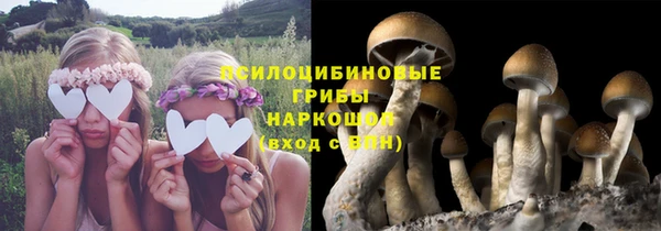 герыч Нягань