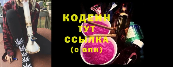 ECSTASY Няндома