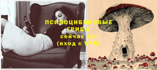 ECSTASY Няндома