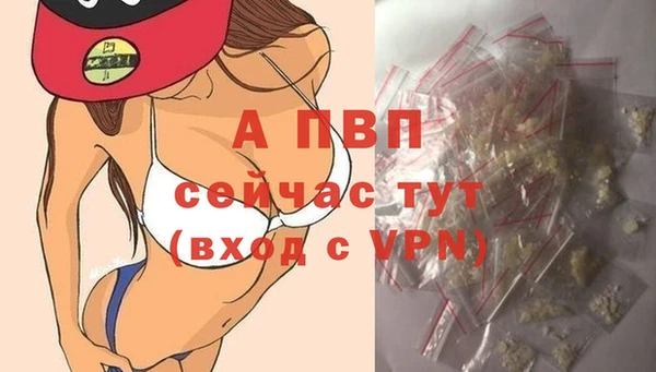ECSTASY Няндома