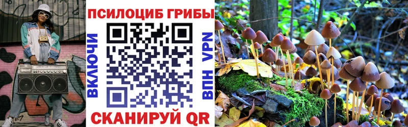 Купить Юрга Псилоцибиновые грибы прущие грибы