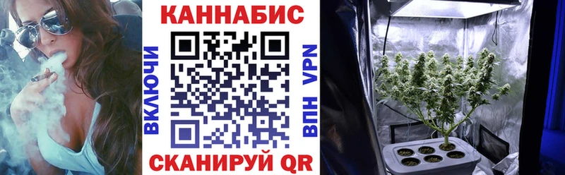 Купить Юрга МАРИХУАНА AK-47